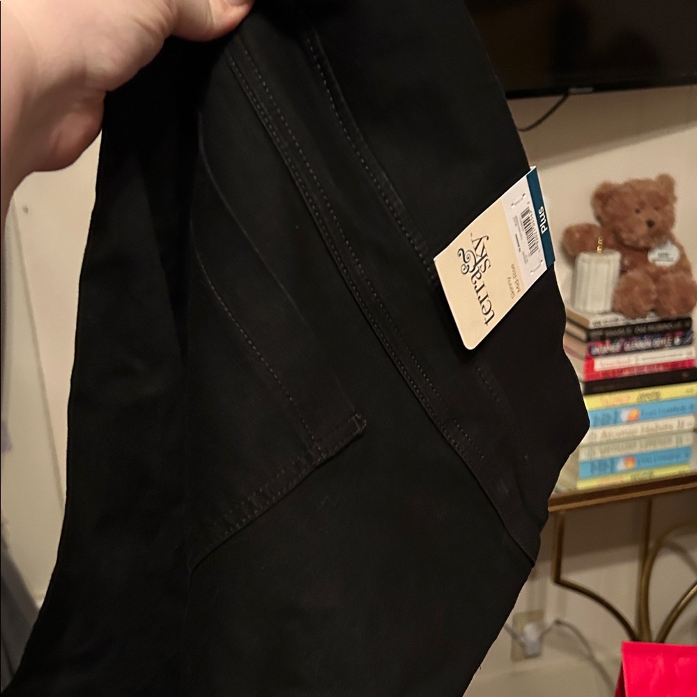 Terra & Sky Black Skinny Mid-Rise Jeggings